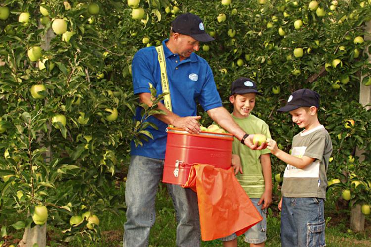 Frisch vom Baum schmeckt´s doch am besten