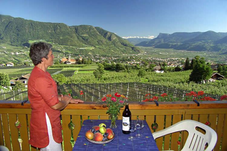 Südbalkon mit Panoramablick
